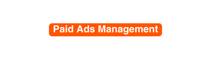 Paid Ads Management