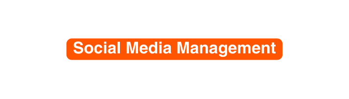 Social Media Management